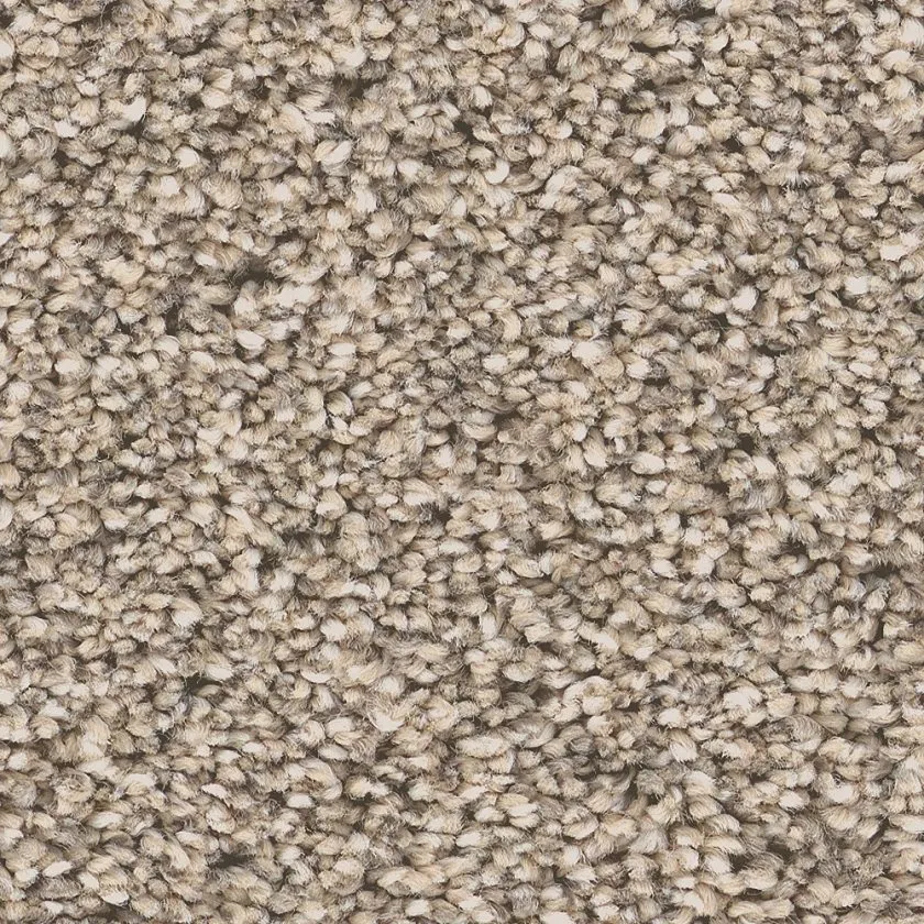Sand hill carpeting swatch